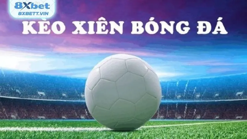 Hướng dẫn tân thủ cách tính tiền thắng kèo xiên chuẩn chỉ