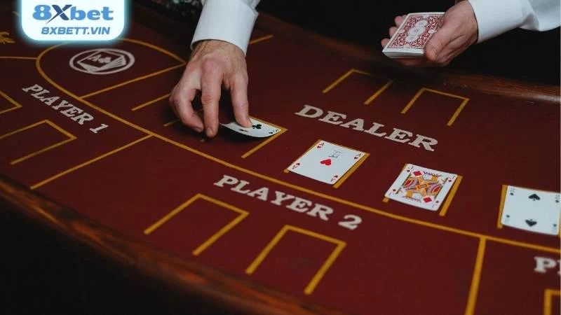 Quy định và luật chơi bài Catte dành cho người mới