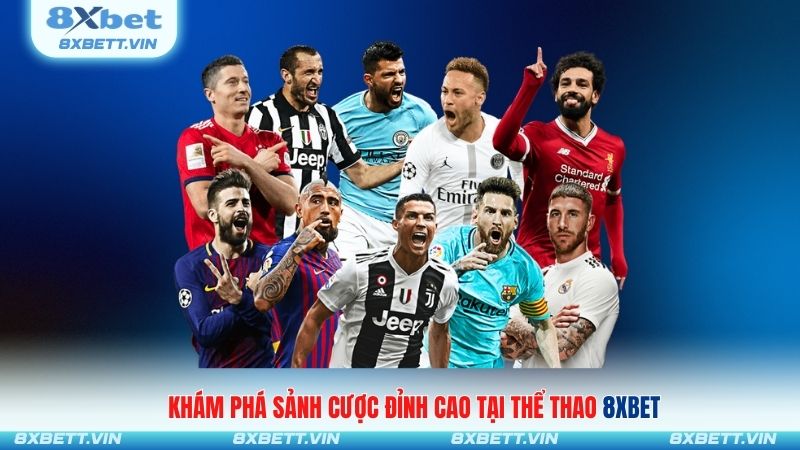Khám phá sảnh cược đỉnh cao tại thể thao 8XBET